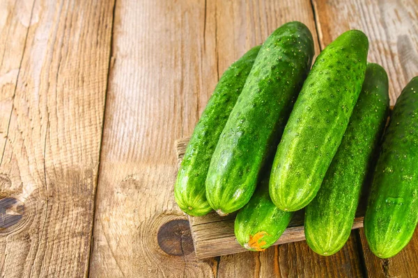 Fresh Cucumbers Leaf Old Wooden Table — Stock Photo, Image