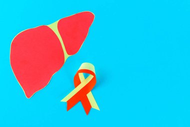 Dünya hepatit günü. 28 Haziran'da. Kırmızı Sarı kurdele ve karaciğer mavi bir tablo. Kopya alanı