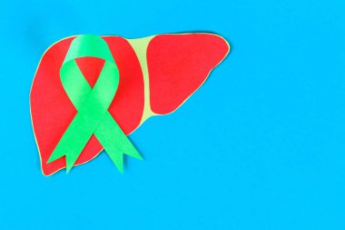 Dünya hepatit günü. 28 Haziran'da. Yeşim yeşil şerit ve karaciğer mavi bir tablo. Kopya alanı