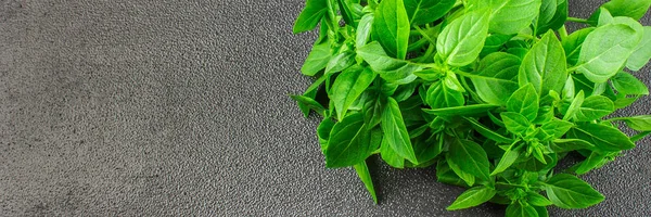 A bunch of green lemon basil on a dark gray concrete background