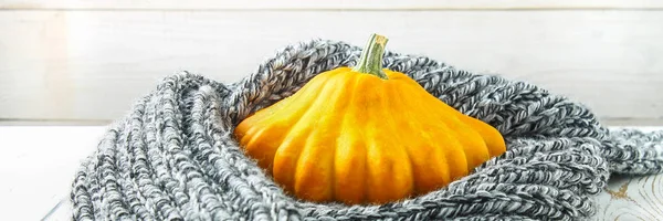 Pumpkin patty pan in a warm cozy scarf on a white wooden table. Autumn harvest.