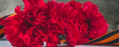 Karanfil çiçek, George şerit ve askeri garnizon cap kırmızı yıldızla. 9 Mayıs Zafer Bayramı.