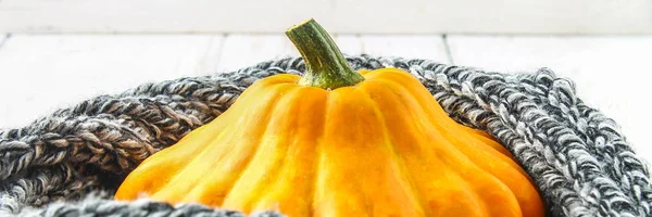 Pompoen Patty Pan Een Warme Gezellige Sjaal Een Witte Houten — Stockfoto