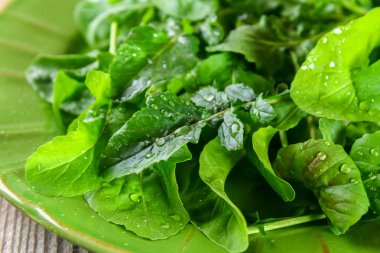 Taze yeşil ev roka yaprakları, rucola. Salata