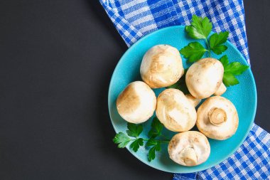 Beyaz taze petrol bir gri karanlık tabloda ahşap bir gemide maydanoz ile. Mantar. Uzay kopyalayın. Üstten Görünüm