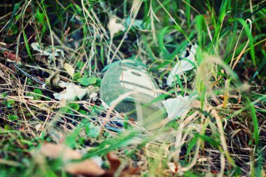 çevre sorunu. çöplüğü orman