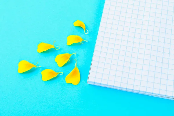 Cuaderno Blanco Vacío Pétalos Flores Amarillas Sobre Fondo Azul Pastel —  Fotos de Stock