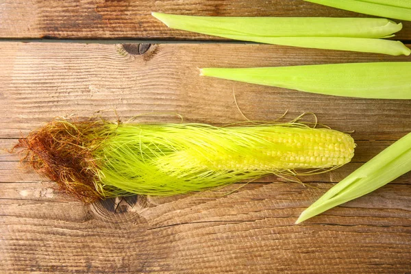 Close Young Ear Corn Silk Tassel Midwestern Cornfield — Stock Photo, Image