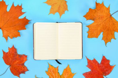 Sonbahar kompozisyon: parlak akçaağaç yaprakları beyaz bir not defteri ile mavi bir arka plan üzerinde. Uzay kopyalayın. Düz yatıyordu. Üstten görünüm