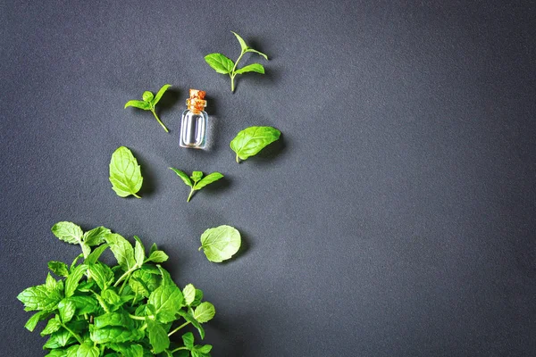 Frische Hausgemachte Grüne Pfefferminze Und Butter Einem Gläsernen Fläschchen Auf — Stockfoto