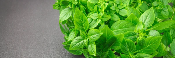 A bunch of green lemon basil on a dark gray concrete background