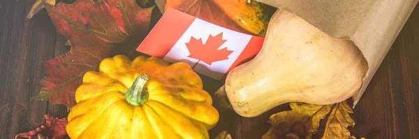 Happy Thanksgiving Day Canada Vegetables Pumpkins Squash Apples Maple Oak — Stock Photo, Image