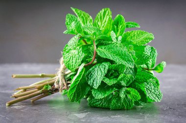 Gri bir arka plan üzerinde sicim ile a demet-in nane bağlı.