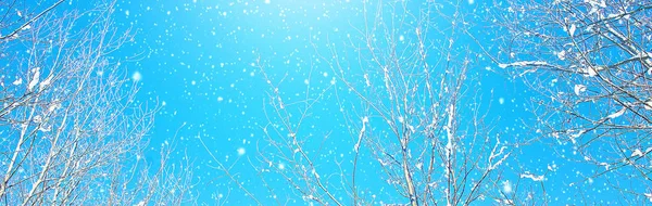 Banner Tempo Inverno Neve Sol Inverno Céu Azul Natureza Nevada — Fotografia de Stock