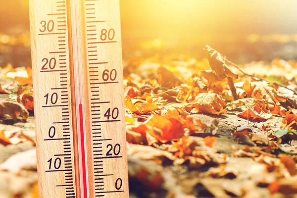 Холодная Осенняя Погода Градусов Цельсия Термометр Осеннюю Холодную Погоду Листьях — стоковое фото