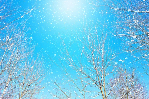Tempo Inverno Neve Sol Inverno Céu Azul Natureza Nevada Inverno — Fotografia de Stock