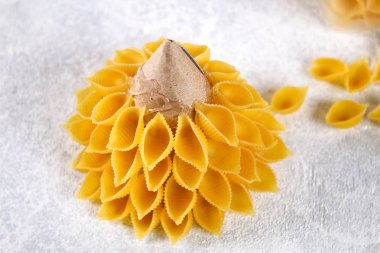 Nasıl bir Noel ağacı pişmemiş makarna conchiglie üzerinden yapmak. Noel ağaçları makarna, karton tabak, sıcak tutkal ve boya veya sprey yapma süreci. Kılavuz, resmi için adım. El yapımı, DIY