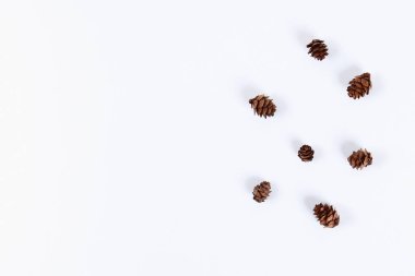 Noel düzeni. Beyaz bir arka plan üzerinde çam kozalağı. Yeni yıl 2019, Yeniyıl, kış konsepti. Kopyalama alanı, tov görünümü, düz yatıyordu kompozisyon