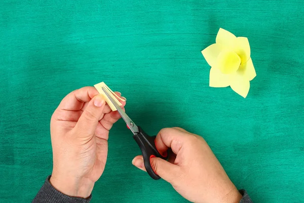 緑の背景に黄色の紙の Diy 春花水仙 イースターのための装飾のギフトの考え 手作り 一歩一歩 工芸品のプロセスです 平面図です 子供イースター クラフト — ストック写真
