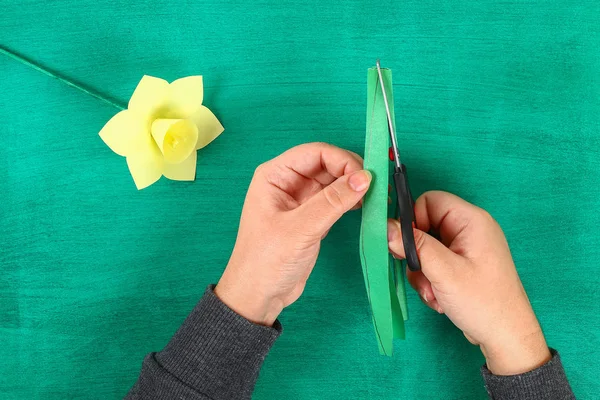 Diy Jarní Květy Narcisů Žlutého Papíru Zeleném Pozadí Tipy Dárky — Stock fotografie