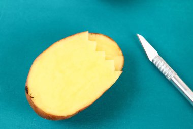 DIY Paskalya yumurta karton ve patates damgası, Paskalya tebrik kartı yeşil zemin üzerine yapılmış.