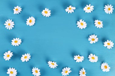 mavi arka planda papatya. Üst görünüm. Yaz geçmişi