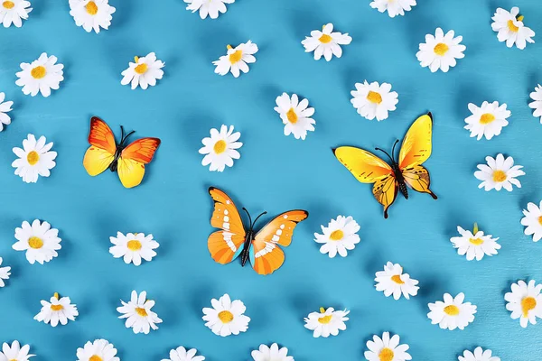 Gelbe und orangefarbene Schmetterlinge und Gänseblümchen auf blauem Hintergrund. Ansicht von oben. Sommer-Hintergrund. flache Lage. — Stockfoto