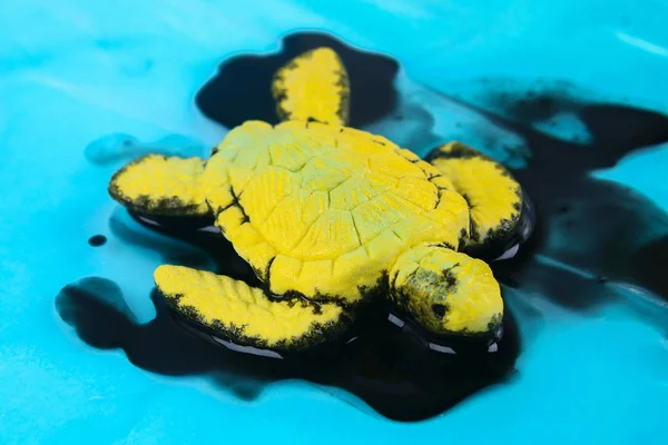 Skildpadde i olie. forurening i havet miljøproblem. Økologi - Stock-foto