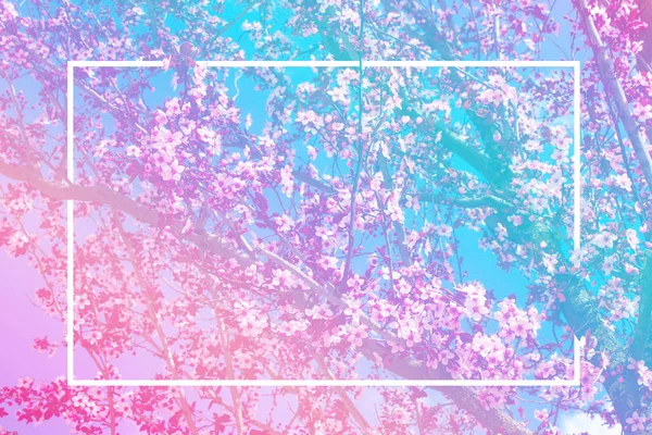 Creatieve lay-out gemaakt met bloemen wit frame. Lente minimaal concept. Natuur achtergrond. — Stockfoto