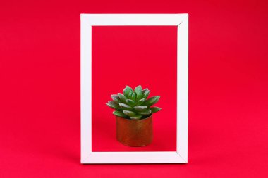 Kırmızı Bordo arka planda beyaz çerçeveli altın pot tuvalet kol yapay yeşil etli.