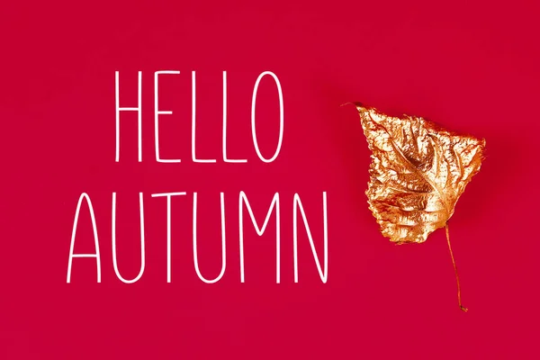 赤い背景に金色の塗料で塗装された秋の乾いた葉。トップビュー。流行。黄金の秋. — ストック写真