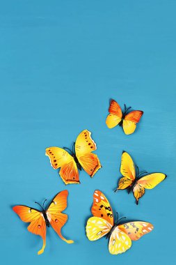 Mavi arka planda sarı ve turuncu kelebekler. Üst te. Yaz geçmişi. Düz yatıyordu.