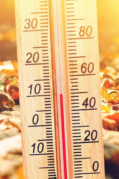 寒冷的秋天气候-摄氏10度. 秋寒天气下的温度计 — 图库照片