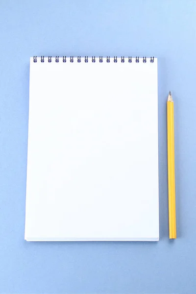 Bovenaanzicht afbeelding van open notebook met blanco pagina's op blauwe achtergrond — Stockfoto