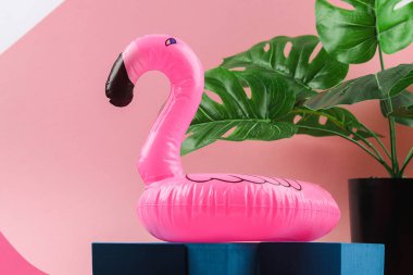 Şişirilebilir pembe flamingo ve pembe arka planda tropikal yaprak canavarı. Yaz dönemi. Yaratıcı yaz plajı konsepti. Flamingo Trend Şişirilebilir Oyuncak.