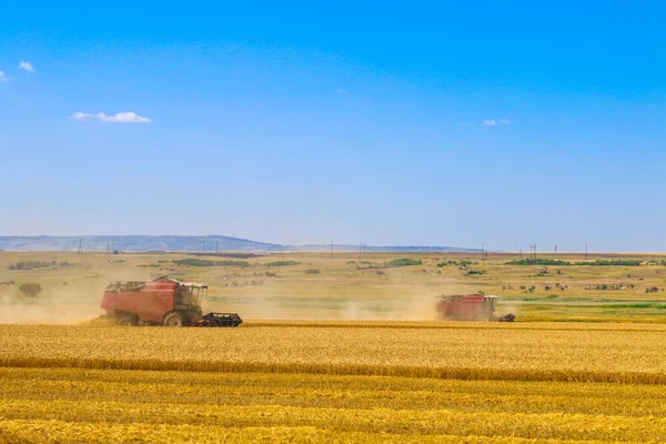 Harvester Machine Working Field Combine Harvester Agriculture Machine Harvesting Golden Stock Photo