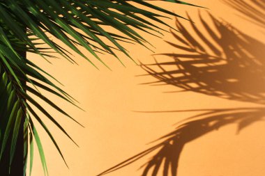 Turuncu arka planda palmiye yaprakları ve gölgeleri. Yaz konsepti.