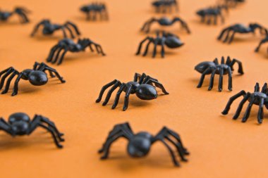 Cadılar Bayramı dekorasyon konsepti. Kırmızı arka planda örümceklerle Cadılar Bayramı. Düz konum, üst görünüm, kopyalama alanı