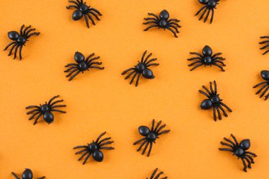 Cadılar Bayramı dekorasyon konsepti. Kırmızı arka planda örümceklerle Cadılar Bayramı. Düz konum, üst görünüm, kopyalama alanı