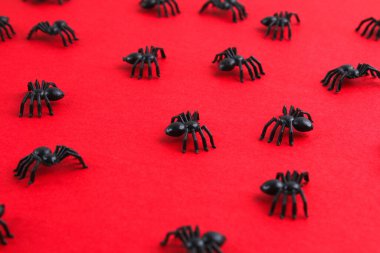 Cadılar Bayramı dekorasyon konsepti. Kırmızı arka planda örümceklerle Cadılar Bayramı. Düz konum, üst görünüm, kopyalama alanı