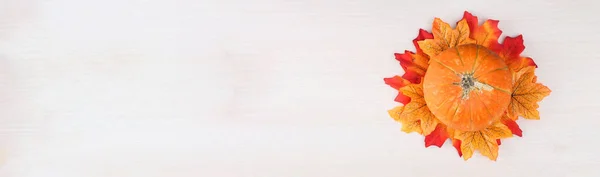 Осенние Листья Тыква Деревянном Фоне Копировальным Пространством Баннер — стоковое фото
