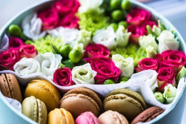 Çiçek kutusu macarons, dostu hediye için iyi fikir