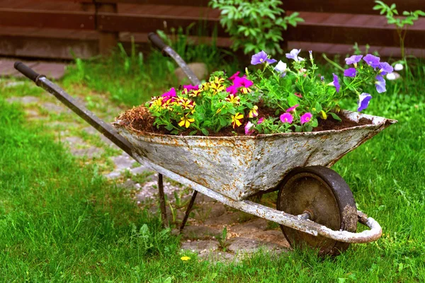 eski paslı el arabası flowerbed Derma çiçek dekor Bahçe