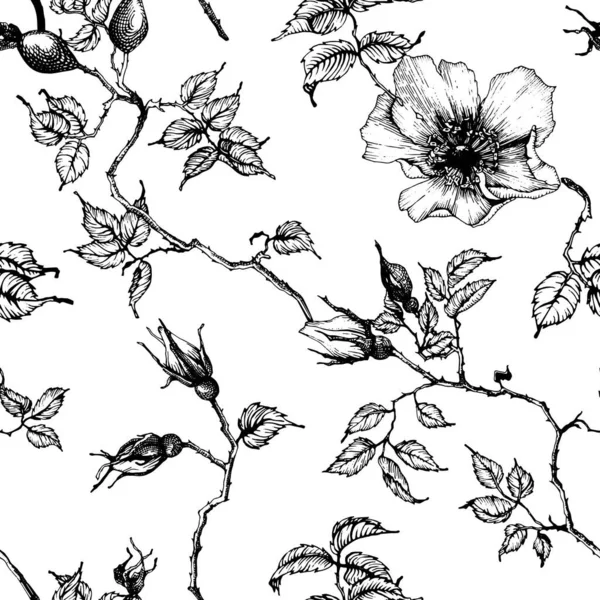 Saisonnière Vector Rosehip Flowers Seamless Pattern Fleurs Fleurs Pétales Tiges — Image vectorielle