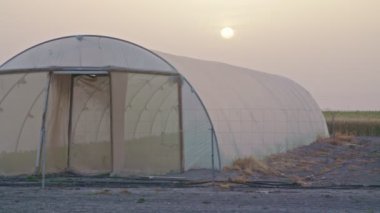 Kahve güneş doğarken bir sera çiftlik üzerinde seyir içme çiftçi