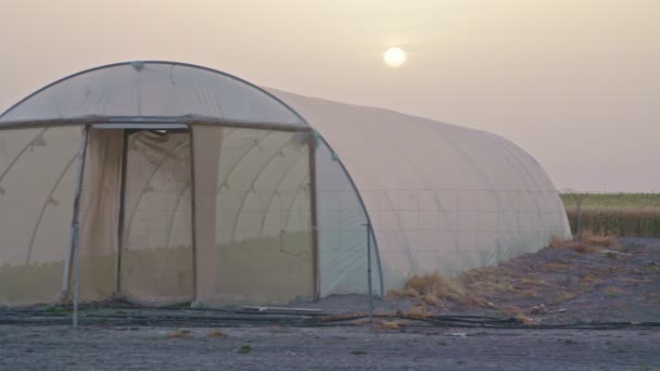 Rolnik, picie kawy, patrząc na wschód słońca nad farmy cieplarnianych — Wideo stockowe