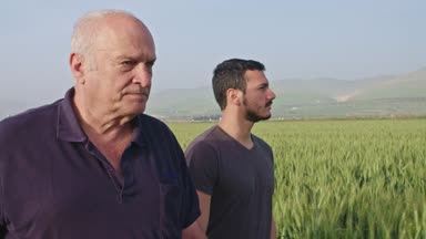Yaşlı çiftçi bir yeşil buğday alanında genç bir çiftçi ile yürüme