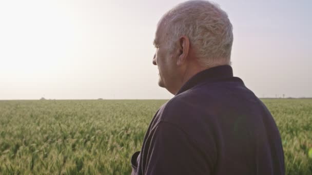 Фотография старого фермера, идущего по зеленому пшеничному полю — стоковое видео