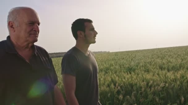 Vecchio contadino che cammina con un giovane agricoltore in un campo di grano verde — Video Stock