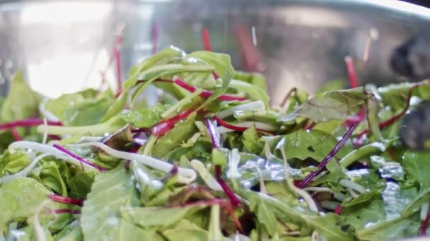 Ensalada verde preparada en cámara lenta con zanahorias, hojas, lechuga y brotes — Vídeos de Stock